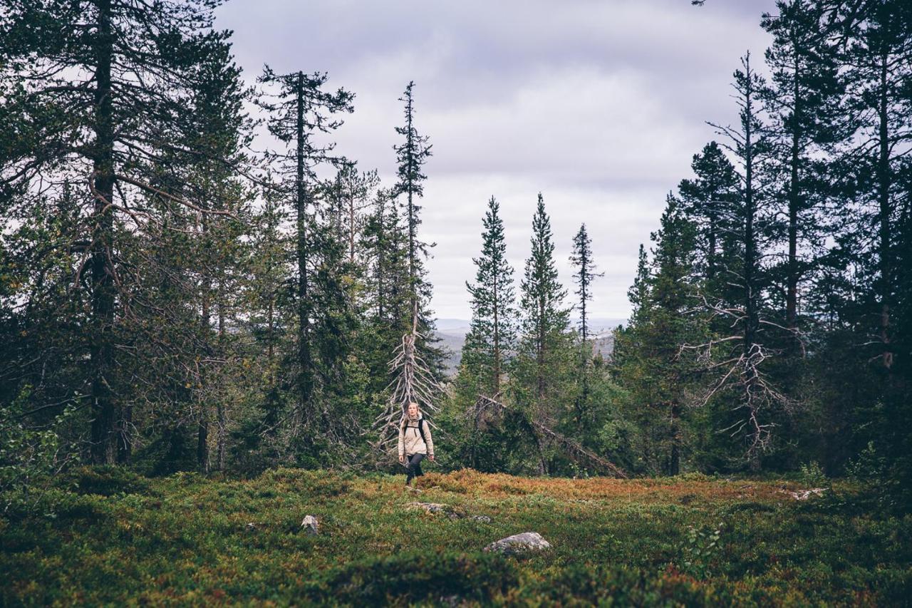 Lapland Hotels Saaga อุลลาสยาร์วิ ภายนอก รูปภาพ