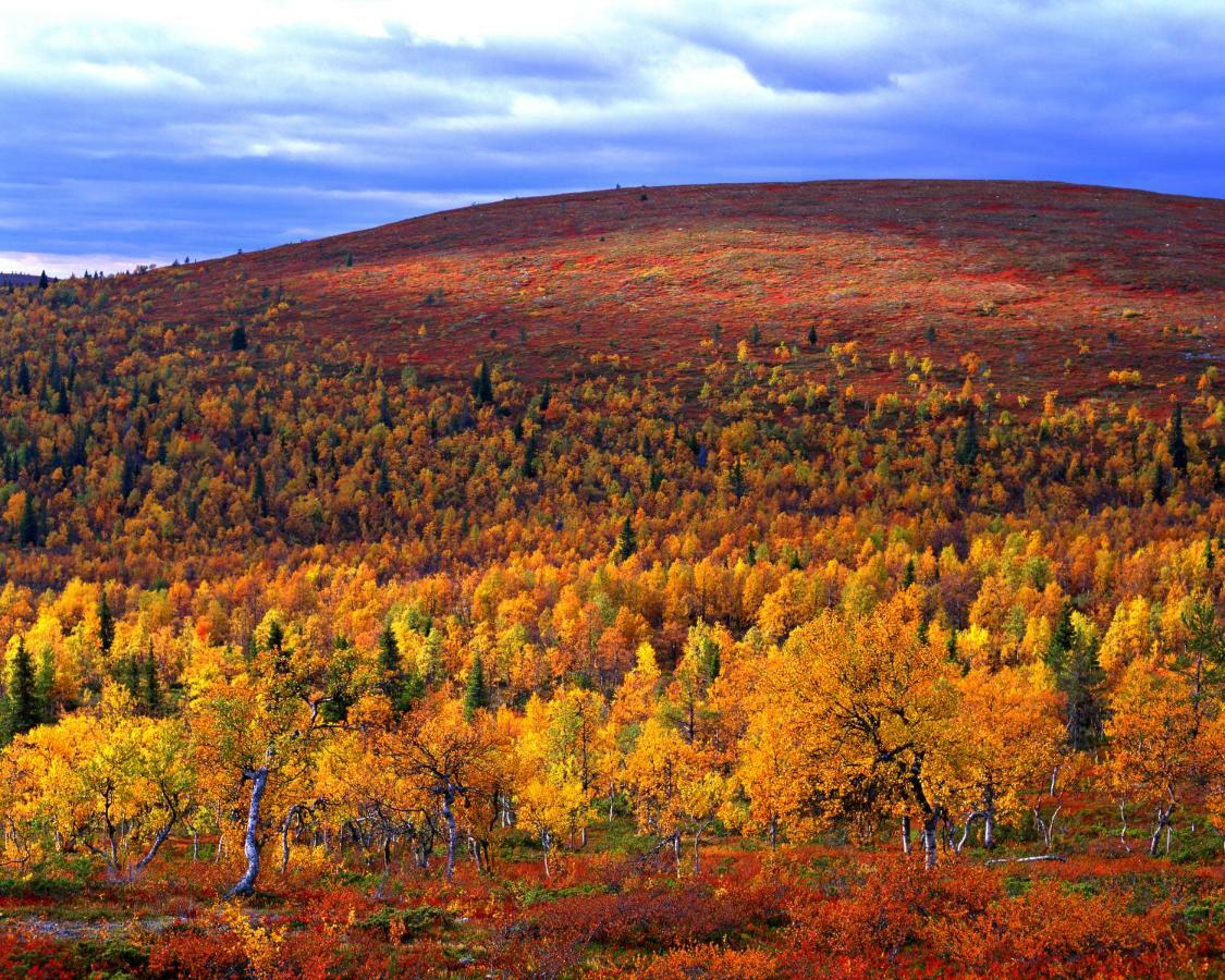 Lapland Hotels Saaga อุลลาสยาร์วิ ภายนอก รูปภาพ