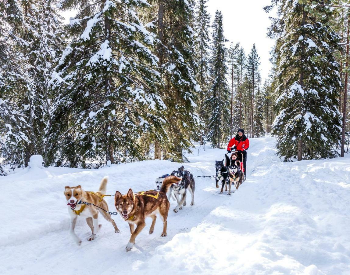 Lapland Hotels Saaga อุลลาสยาร์วิ ภายนอก รูปภาพ